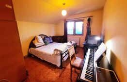 Casa pretabila pentru clinica, 246 mp, Ultracentral, Mitropoliei