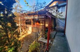 Casa pretabila pentru clinica, 246 mp, Ultracentral, Mitropoliei