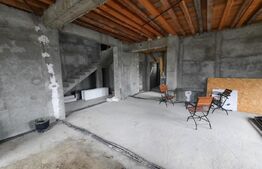 Casa si spatiu comercial de 270 mp utili, Pietrarie