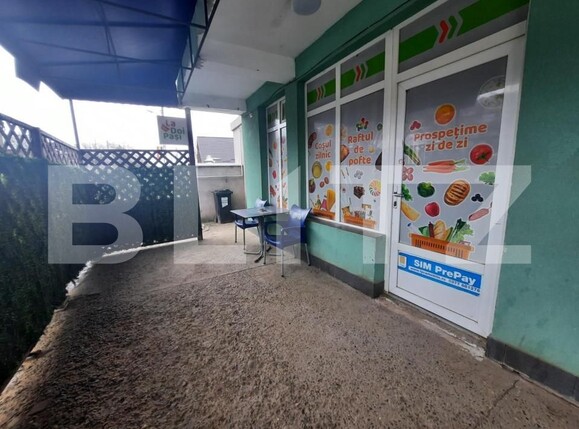 Casa de vânzare 5 camere Pietrarie - 146252CV | BLITZ Iași | Poza4