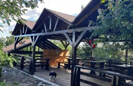 Pensiune de 13 camere, 640 mp utili, 2000 mp de teren, Varatec