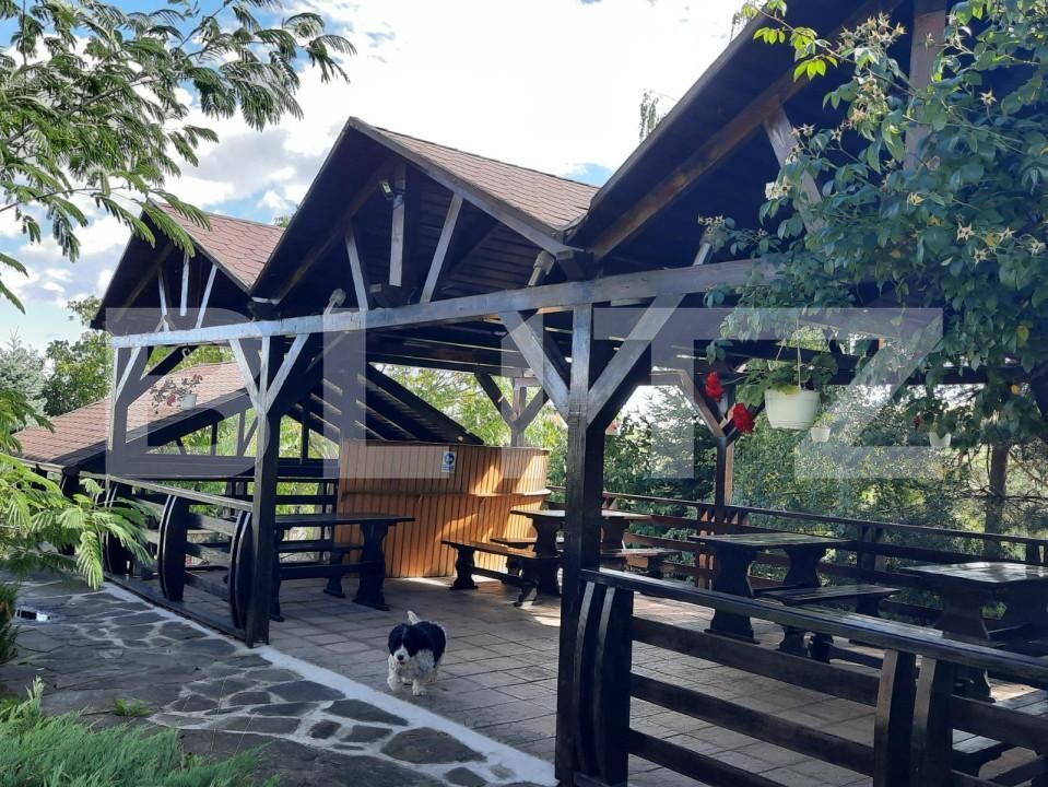 Casa de vânzare 13 camere Exterior Vest - 146256CV | BLITZ Iași | Poza16