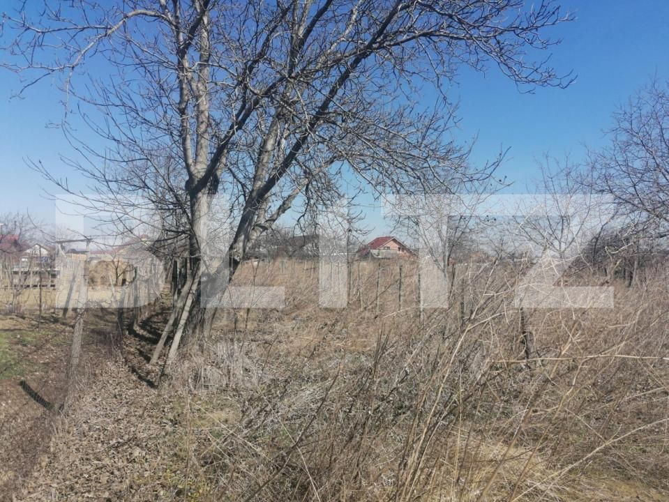 Casa de vânzare 3 camere Est - 146257CV | BLITZ Iași | Poza5