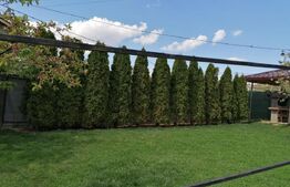 Casa 240mp, teren 730mp, Bucium, la asfalt