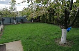 Casa 240mp, teren 730mp, Bucium, la asfalt