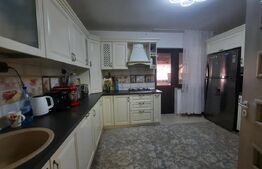 Casa de 4 camere, 102 mp utili, canalizare, Lunca Cetatuii