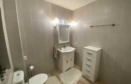 Casa 4 camere, 101mp, luxos mobilata si utilata, Miroslava