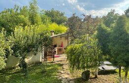 Casa 400 mp, teren 1164 mp, 3 niveluri, zona P-ta Chirila