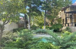 Casa 400 mp, teren 1164 mp, 3 niveluri, zona P-ta Chirila