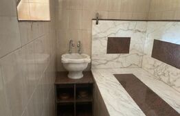 Casa 400 mp, teren 1164 mp, 3 niveluri, zona P-ta Chirila