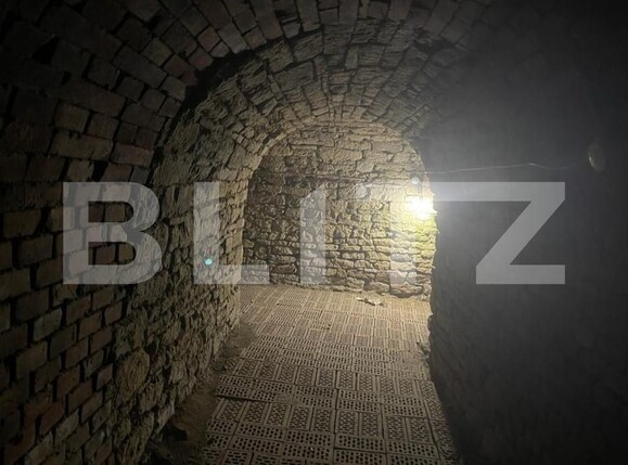 Casa de vânzare 6 camere Tatarasi - 146274CV | BLITZ Iași | Poza19