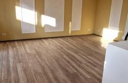 Casa 6 camere, 245mp, Bucium