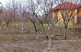 Casa 4 camere, 120 mp utili, langa biserica Sf. Vasile Miroslava