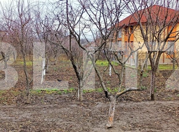 Casa de vânzare 4 camere Miroslava - 146289CV | BLITZ Iași | Poza4