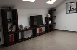 Casa si spatiu comercial, 420 mp, orasul Roman