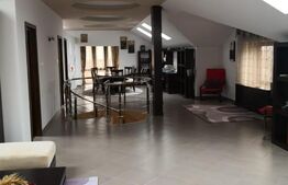 Casa si spatiu comercial, 420 mp, orasul Roman