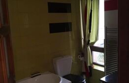 Casa si spatiu comercial, 420 mp, orasul Roman