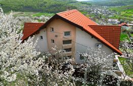 Casa boiereasca, rafinata si luxoasa cu 8 camere, 480mp, Chicerea