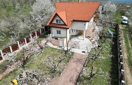 Casa boiereasca, rafinata si luxoasa cu 8 camere, 480mp, Chicerea