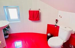 Casa boiereasca, rafinata si luxoasa cu 8 camere, 480mp, Chicerea