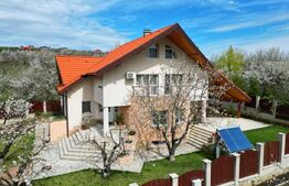 Casa boiereasca, rafinata si luxoasa cu 8 camere, 480mp, Chicerea