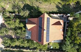 Casa boiereasca, rafinata si luxoasa cu 8 camere, 480mp, Chicerea