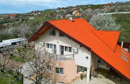 Casa boiereasca, rafinata si luxoasa cu 8 camere, 480mp, Chicerea