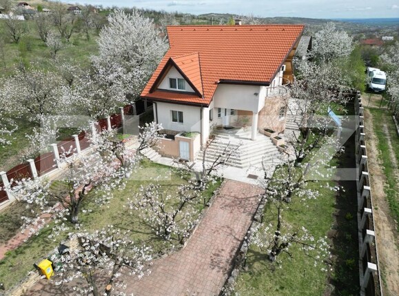 Casa de vânzare 8 camere Tomesti - 146302CV | BLITZ Iași | Poza5