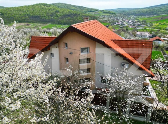 Casa de vânzare 8 camere Tomesti - 146302CV | BLITZ Iași | Poza3