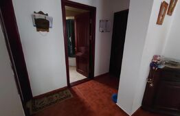 Casa 5 camere,240 mp utili si 485 mp teren, Nicolina