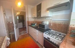 Apartament 3 camere, 60 mp, Alexandru cel Bun