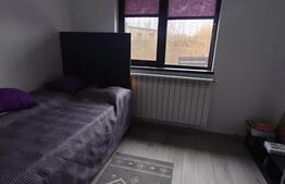 Casa 140 mp util si 440 mp teren in Dorobanti, com. Aroneanu