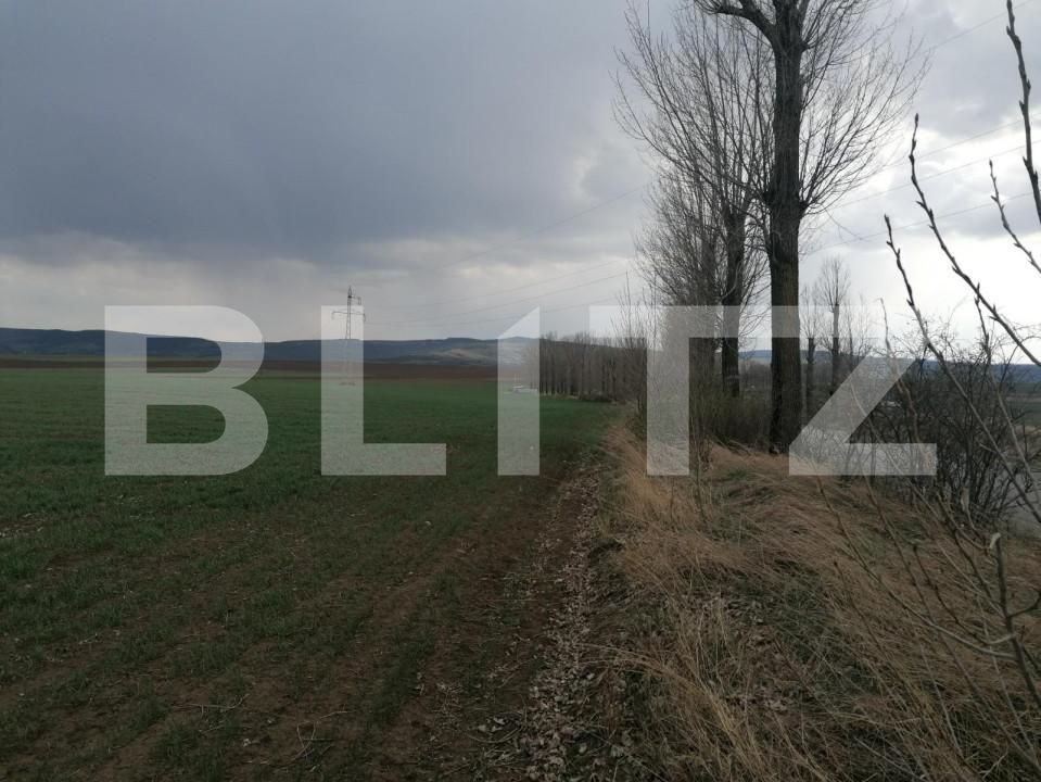Teren de vânzare Miroslava - 146318TV | BLITZ Iași | Poza5