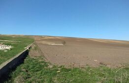 Teren 3600 mp, la DE 85, iesire Letcani, utilitati aproape