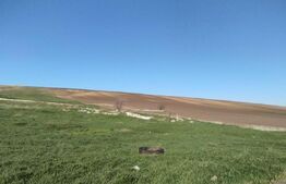 Teren 3600 mp, la DE 85, iesire Letcani, utilitati aproape