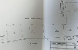 Casa batraneasca cu teren de 6700 mp intravilan, Ipatele