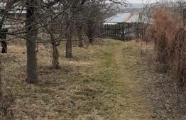 Casa de vânzare 1 camera Frumoasa - 172445CV | BLITZ Iași | Poza2