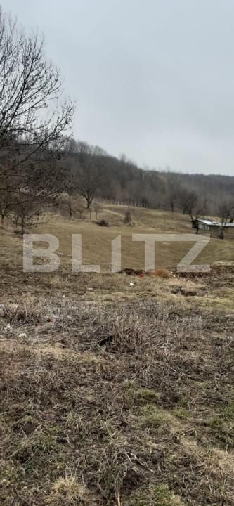 Casa de vânzare 2 camere Exterior Sud - 146328CV | BLITZ Iași | Poza5