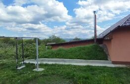 Casa+ casa vacanta, 2200 mp livada, Schitu-Duca