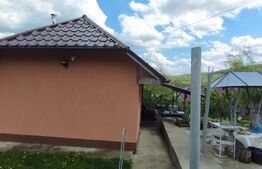 Casa+ casa vacanta, 2200 mp livada, Schitu-Duca