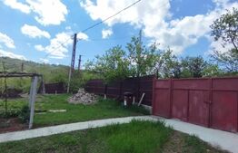 Casa+ casa vacanta, 2200 mp livada, Schitu-Duca