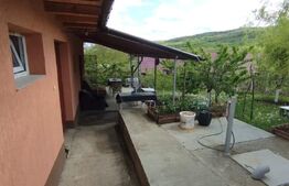 Casa+ casa vacanta, 2200 mp livada, Schitu-Duca