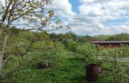 Casa+ casa vacanta, 2200 mp livada, Schitu-Duca