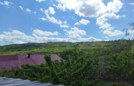 Casa+ casa vacanta, 2200 mp livada, Schitu-Duca