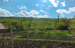 Casa+ casa vacanta, 2200 mp livada, Schitu-Duca