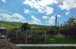 Casa+ casa vacanta, 2200 mp livada, Schitu-Duca