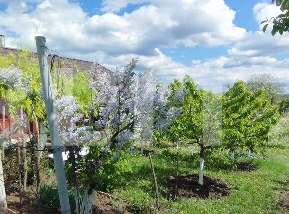 Casa de vânzare 3 camere Exterior Sud - 146333CV | BLITZ Iași | Poza1