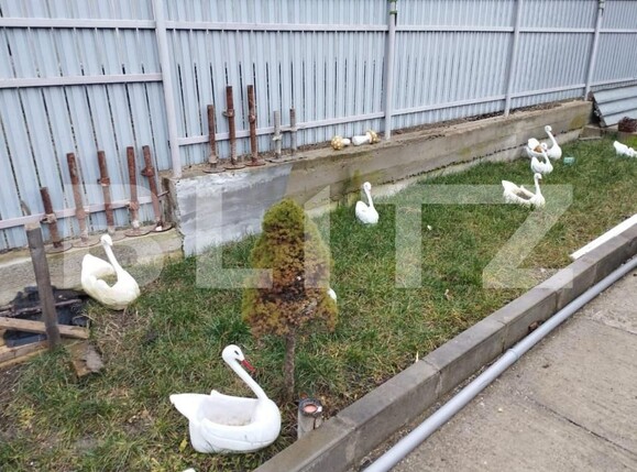 Casa de vânzare 5 camere Exterior Vest - 146334CV | BLITZ Iași | Poza7