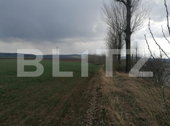 Teren de vânzare Miroslava - 146338TV | BLITZ Iași | Poza1