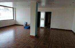 Spatiu comercial, 400 mp, Schitu-Duca